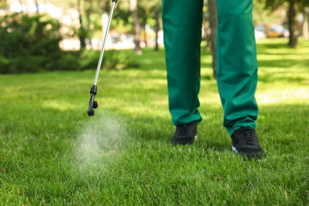 Best Cockroach Control Services  in Mescal, AZ