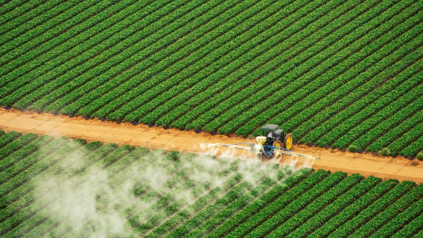 Best Pest Removal Services  in Mescal, AZ